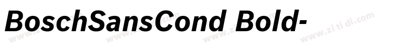 BoschSansCond Bold字体转换